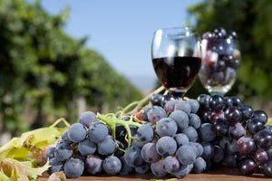 Winery Insurance
