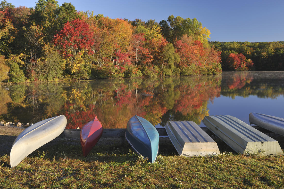 Insuring the Lake Life Stork Insurance Finger Lakes Insurance